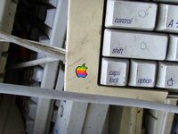 Apple keyboards in China e-waste dump